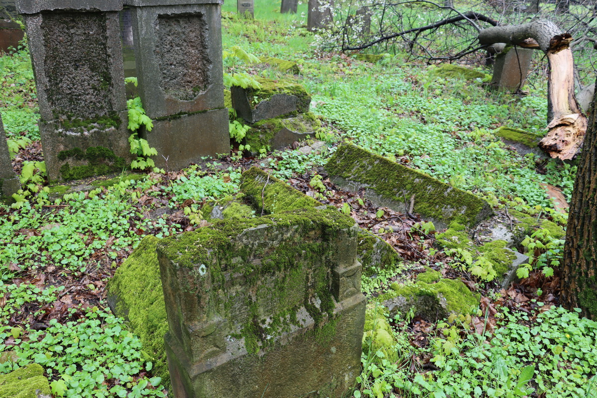 jewish cemeteries Bochnia