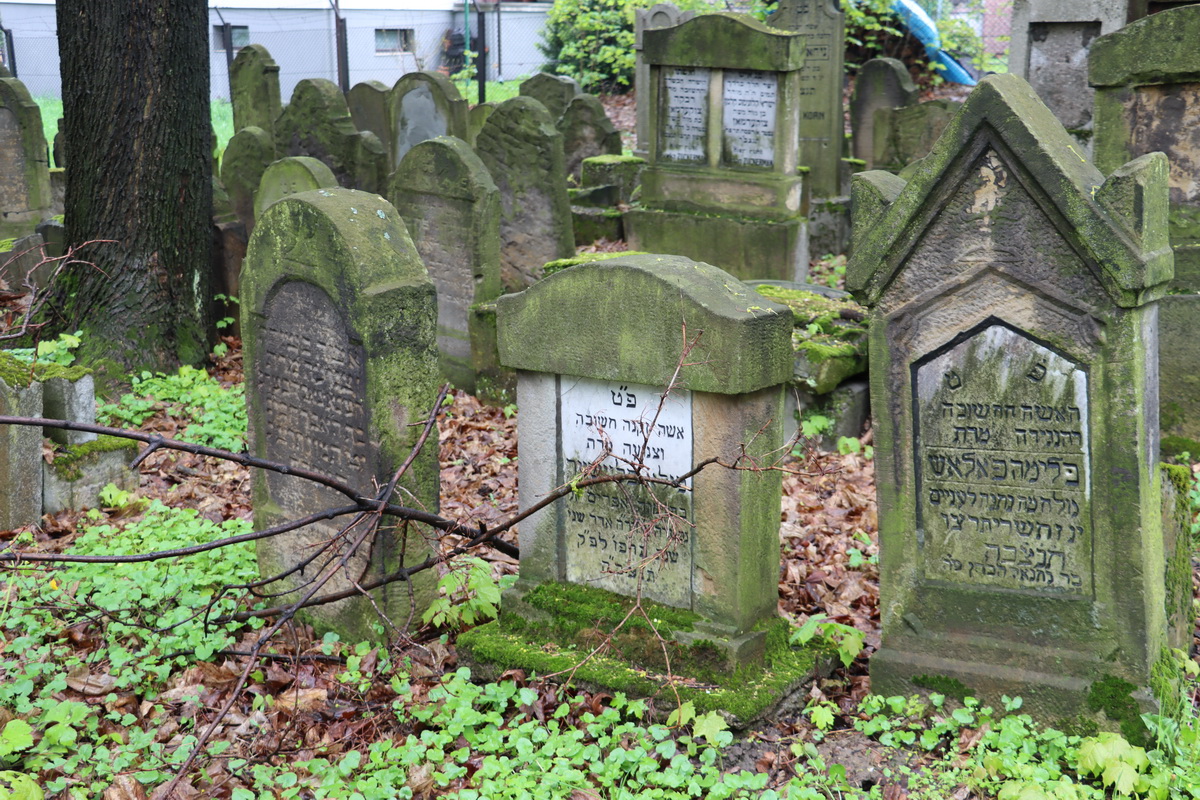 jewish cemeteries Bochnia