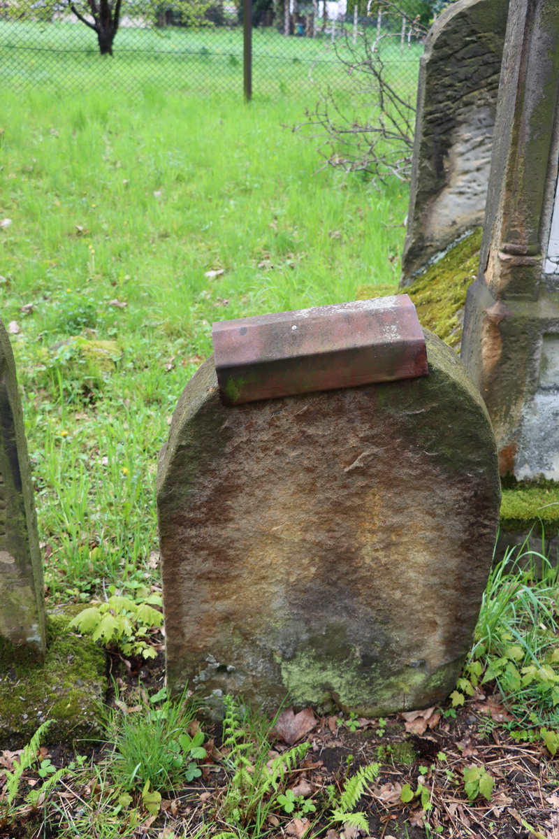 jewish cemeteries Bochnia