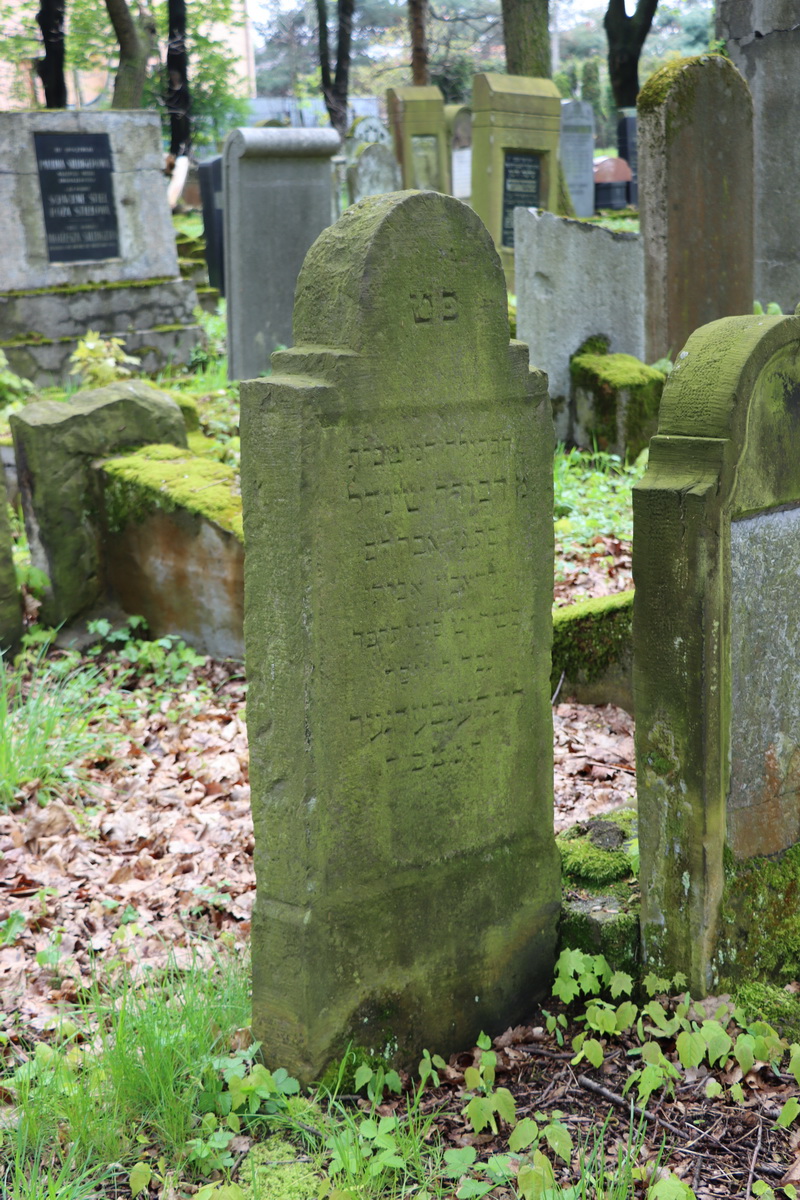 jewish cemeteries Bochnia