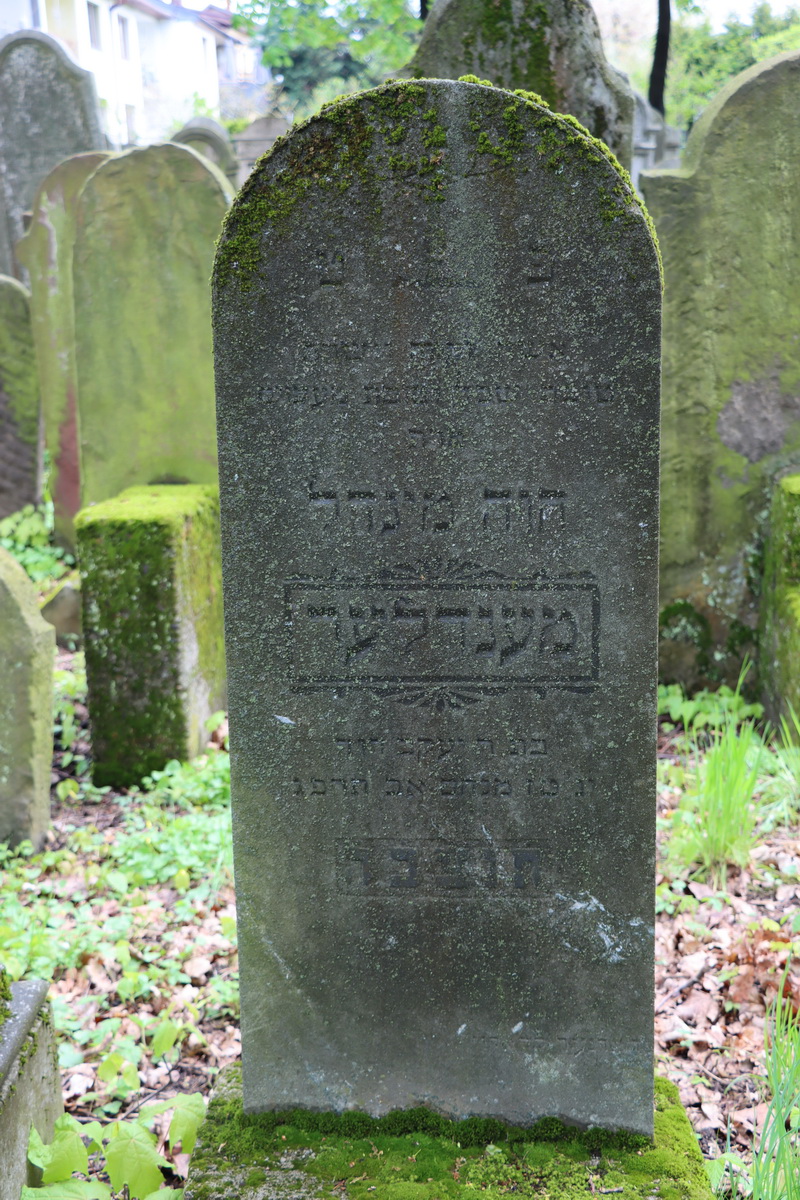 jewish cemeteries Bochnia