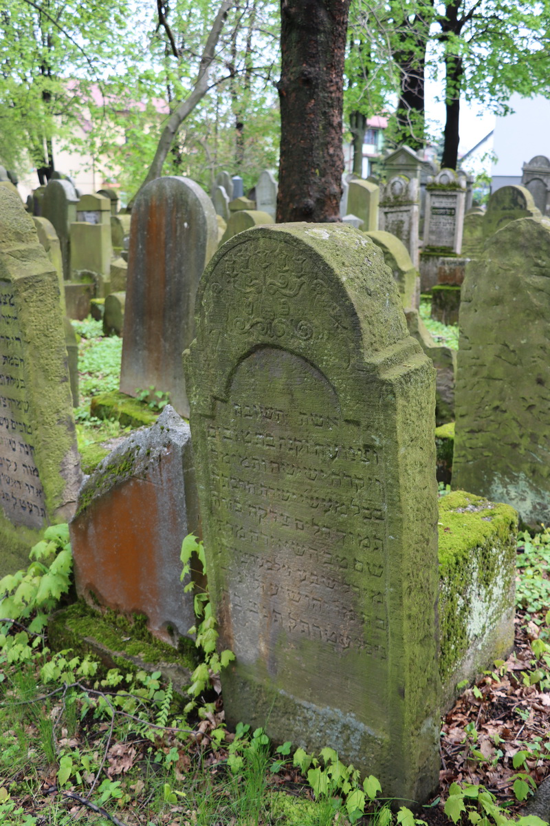 jewish cemeteries Bochnia