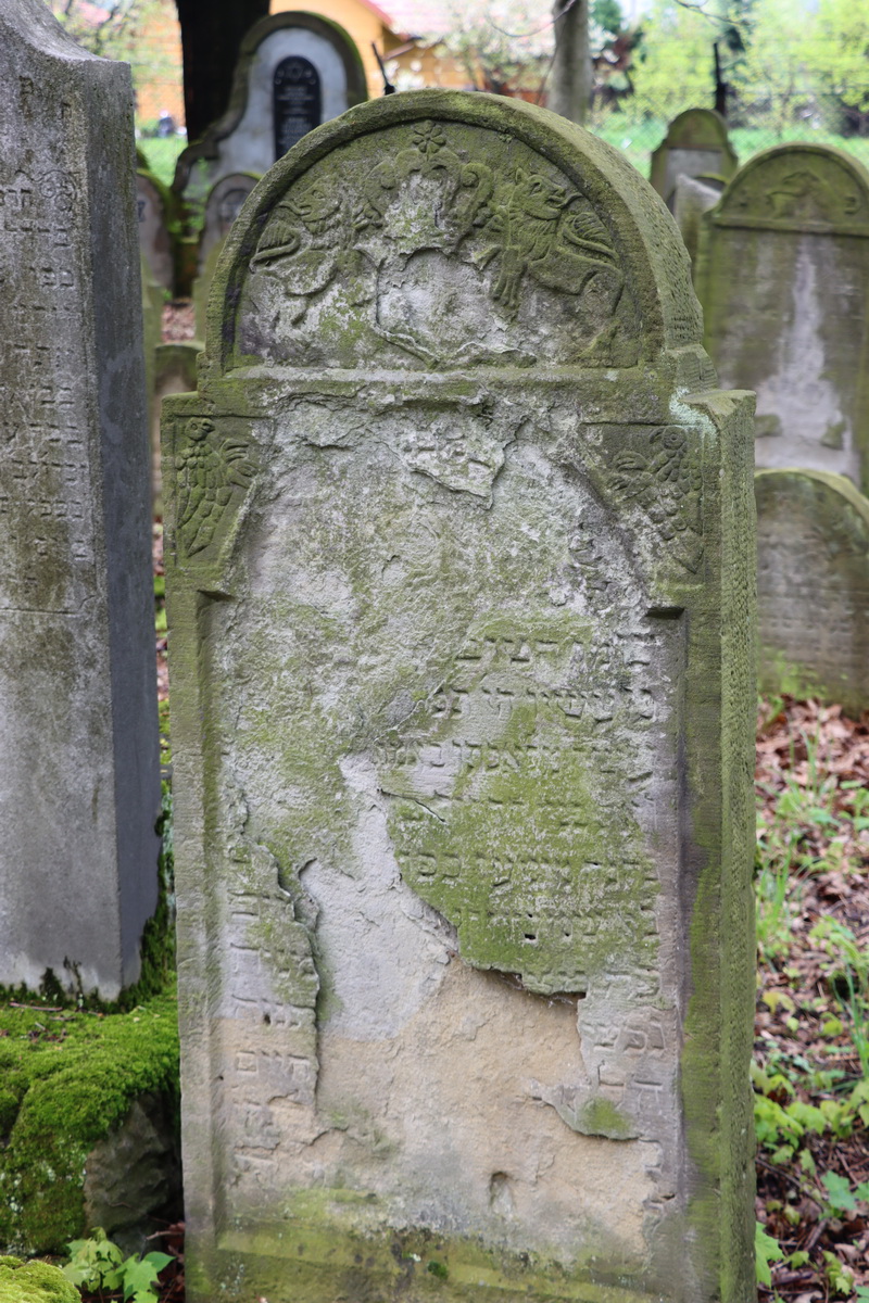 jewish cemeteries Bochnia