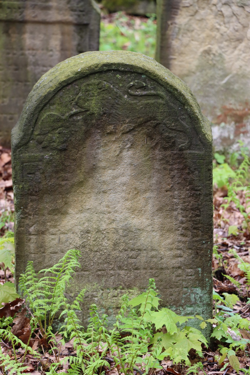 jewish cemeteries Bochnia