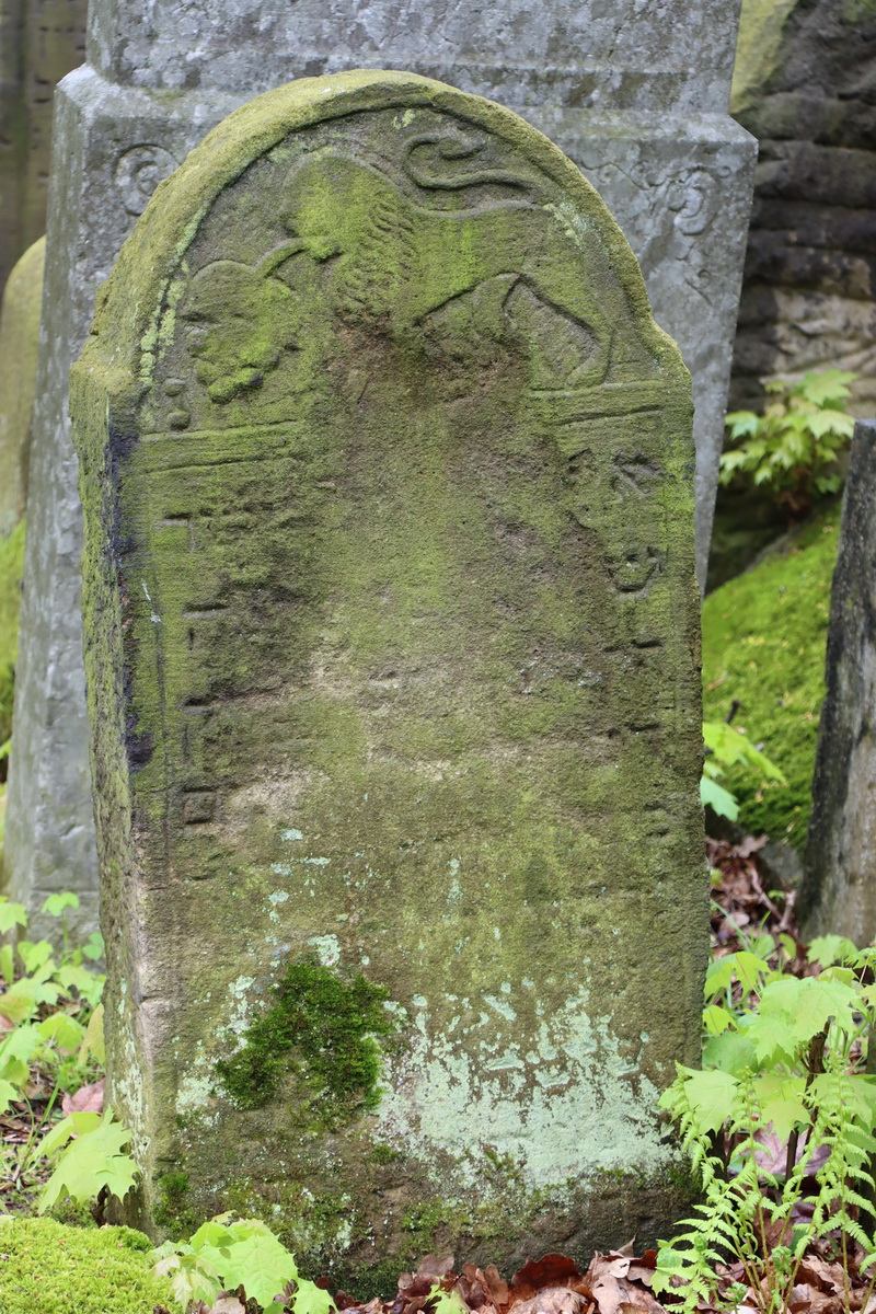 jewish cemeteries Bochnia
