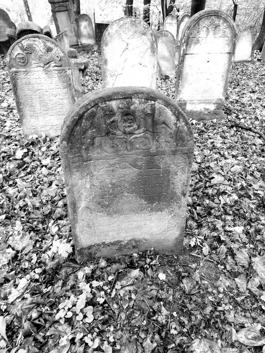 jewish cemeteries Bochnia