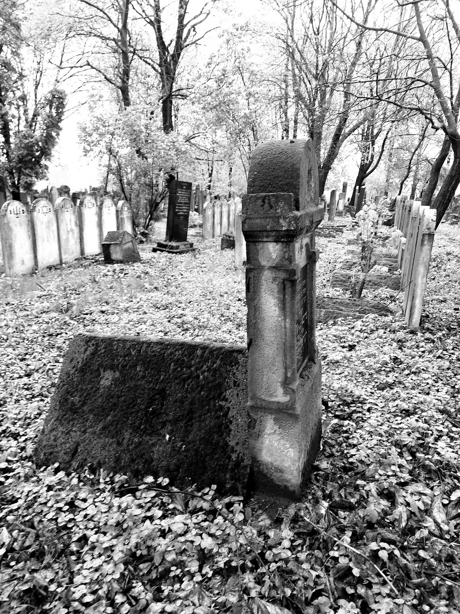 jewish cemeteries Bochnia